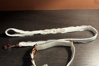 BowPawTie Accessori per Cani - 15