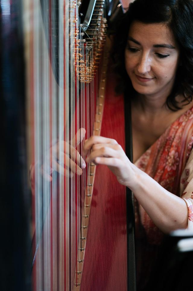 Elisa Sargenti Arpista - 1