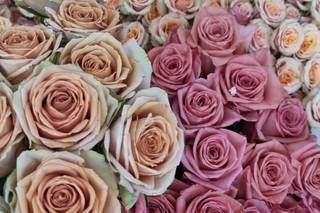 NG Flowers Armonie Floreali - 7