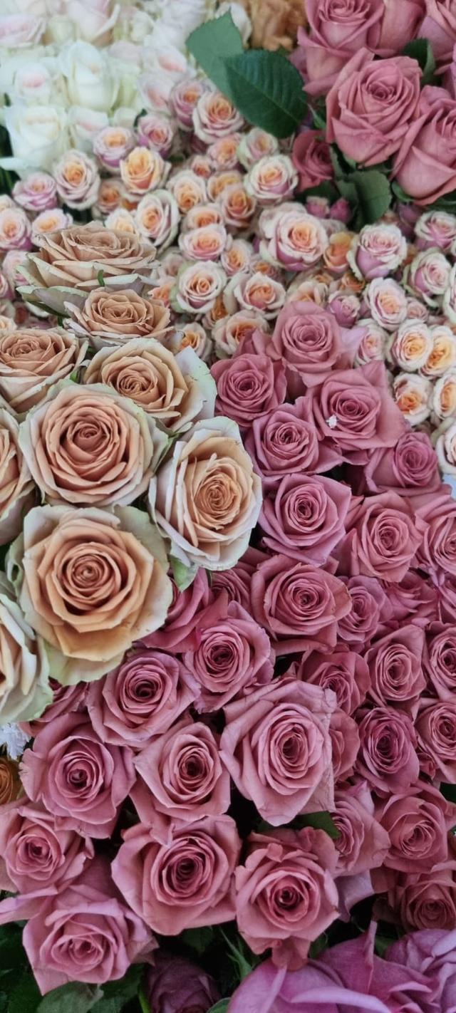 NG Flowers Armonie Floreali - 3