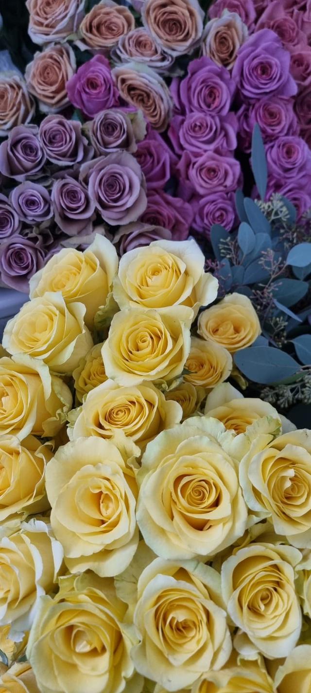 NG Flowers Armonie Floreali - 4