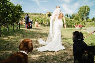 Orma Di Maya - Dog Sitter - 6