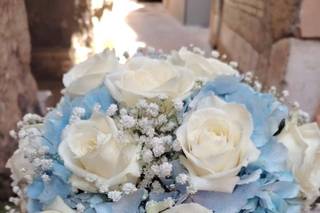 Saticulaflores di Anna Monteforte - 5
