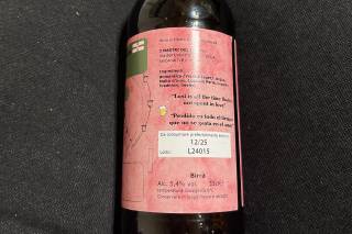 I Mastri del Lago - 7