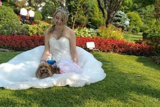 JL Dog Sitter for wedding - 15