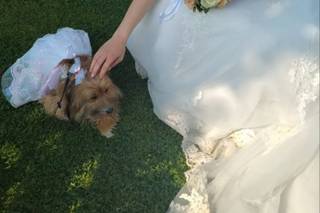 JL Dog Sitter for wedding - 16