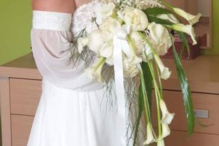 Le spose di Fabio - 16