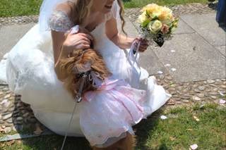 JL Dog Sitter for wedding - 17