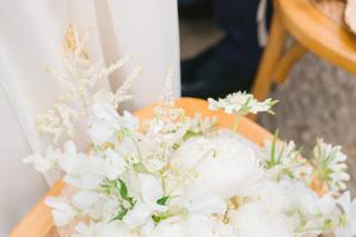 Clementin Photo - 6