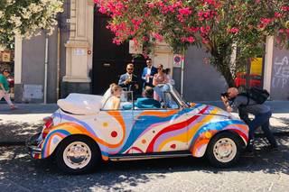 Maggiolino Brillo - 6