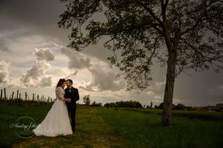 Andryphoto - 5