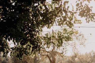 Borgo degli Ulivi - 13