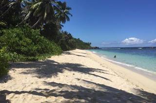 Seychelles Expert - 10