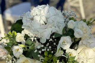 De Sena Cesarina - 10