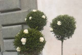 Il Crocus di Sabrina Di Maria - 6