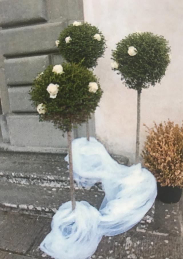 Il Crocus di Sabrina Di Maria - 2