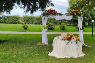 Fioreria La Mimosa - 5