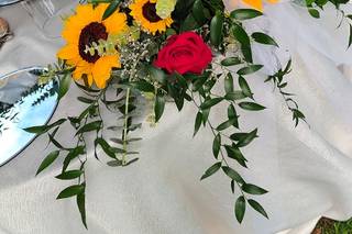 Fioreria La Mimosa - 6