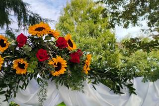 Fioreria La Mimosa - 7