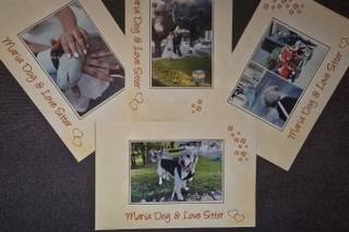 Maria Dog & Love Sitter - 12