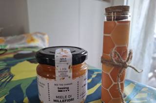 Ubuntu EcoEvents - 13