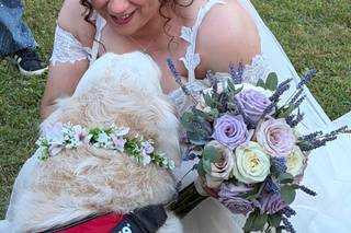 I Fiori di Ilaria - 14