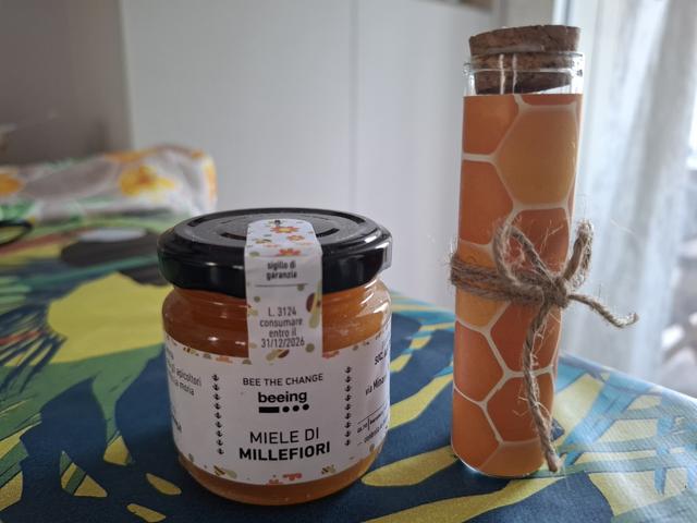 Ubuntu EcoEvents - 3