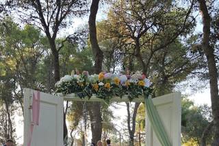 Reggia Domizia - 9