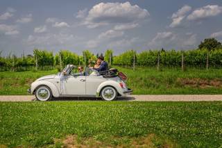 Maggiolone Wedding - 5