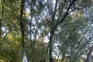 Weddding Artigiani del Divertimento - 8