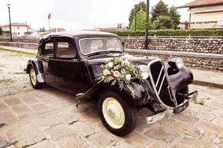 Garden Eden & Poi... - 19