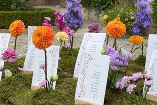Lunaria Wedding - 5