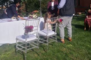 Celebrante matrimoni civili e simbolici - 9