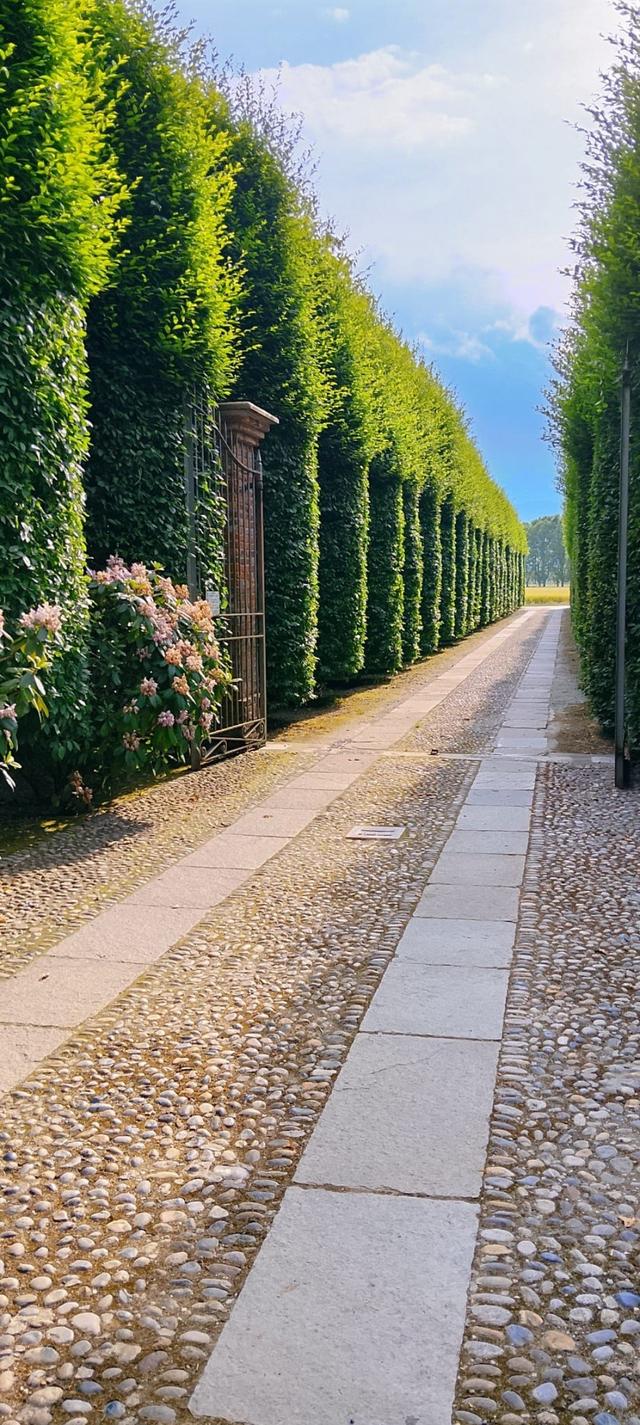 Tenuta La Cascinetta - 2
