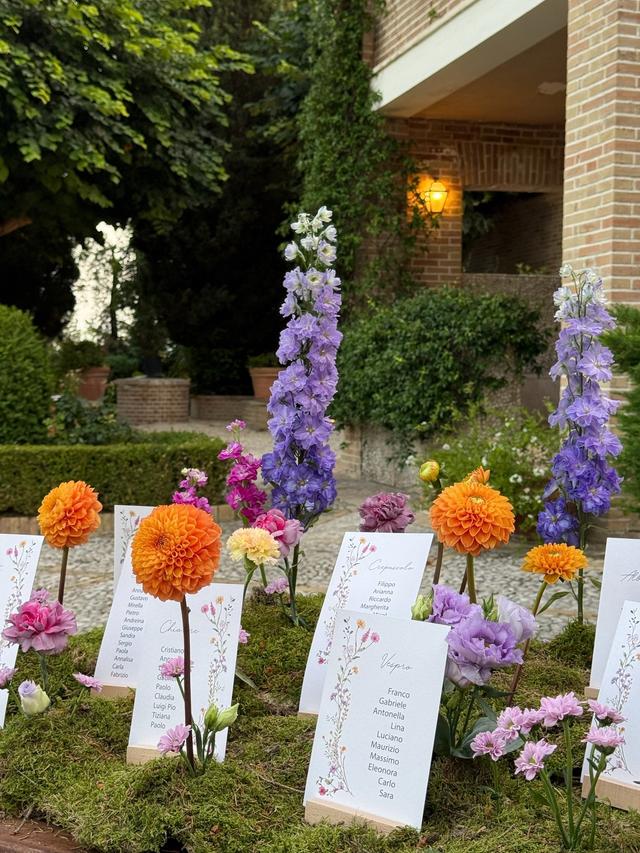 Lunaria Wedding - 2