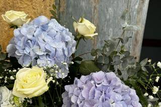 Il Miglio Verde - 18