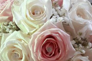 La Vie en Rose - 20