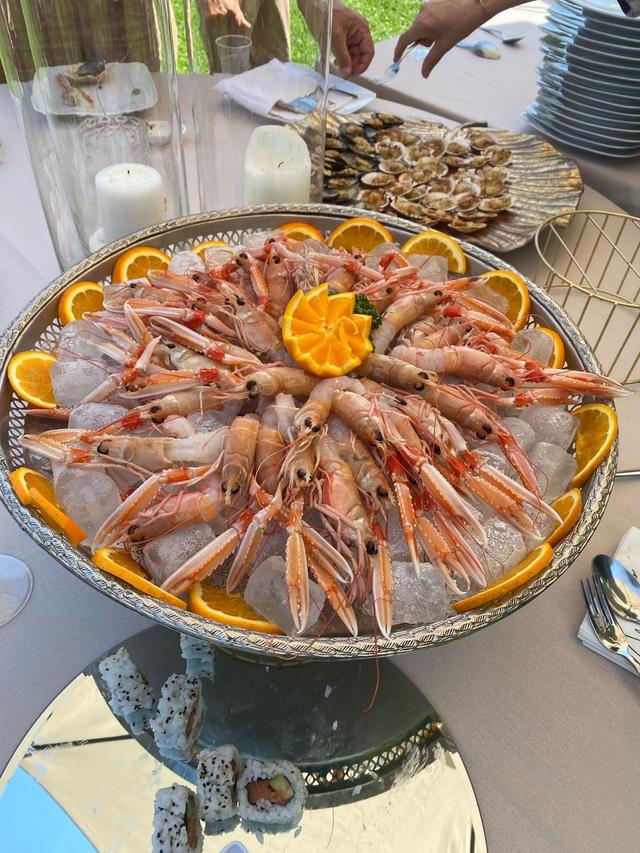 Mauro Marzotto Foto & Video - 2