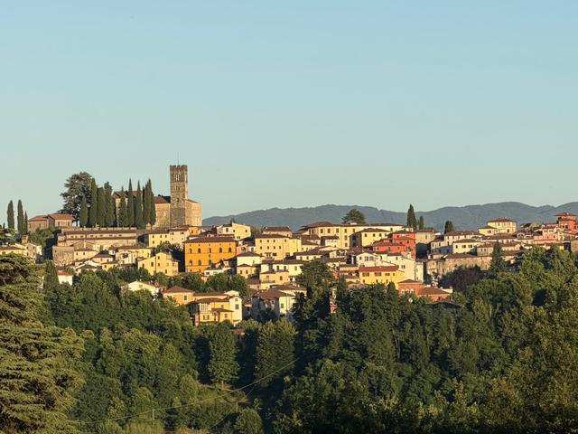 Agriturismo I Cedri - 1