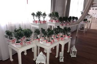 Bonsai-Do - 12