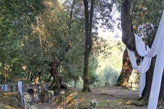 Fattoria di Fubbiano - 6