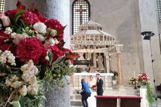 Art & Nature Designer - 20