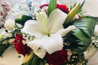 Fiorin Fiorello - 22