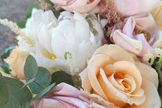 L'Orchidea di Cammalleri Daniela & Co. - 9