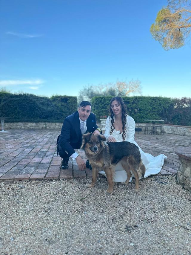 Asia's Friends Doggy Events - 1