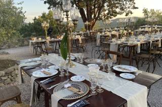 Tree Events Wedding & Party Planner - 5