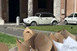 Mister Maggiolino - 5