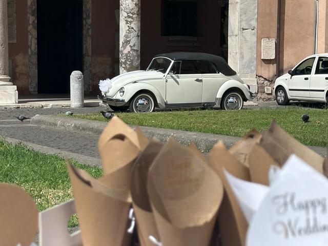 Mister Maggiolino - 1