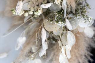 Giovanni Raspante - 11