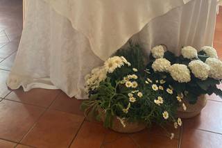 Amaranto Flower Design - 5